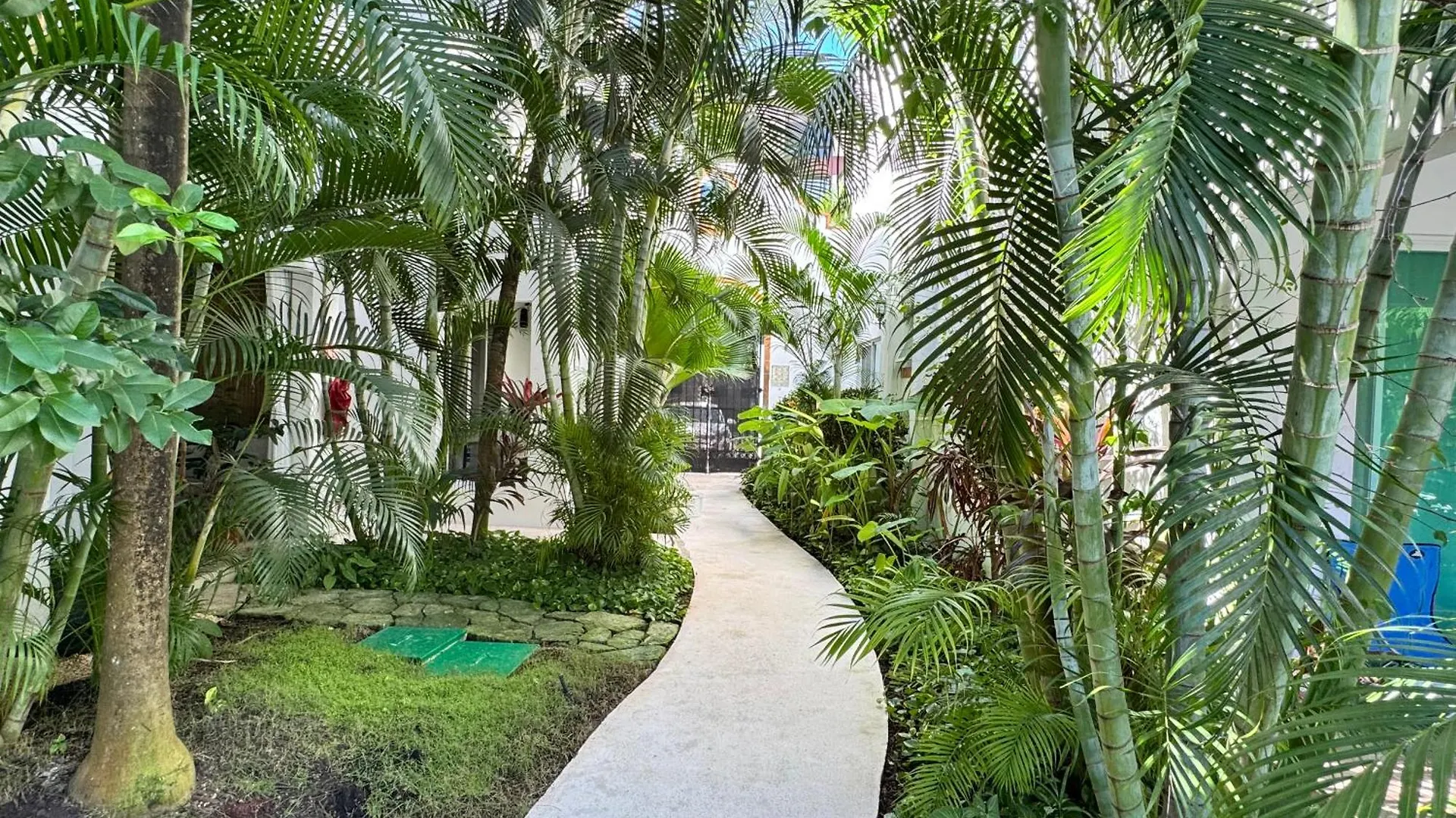 Central Luxury Stay -Fast Wifi- Playa Experience Playa del Carmen Apartment